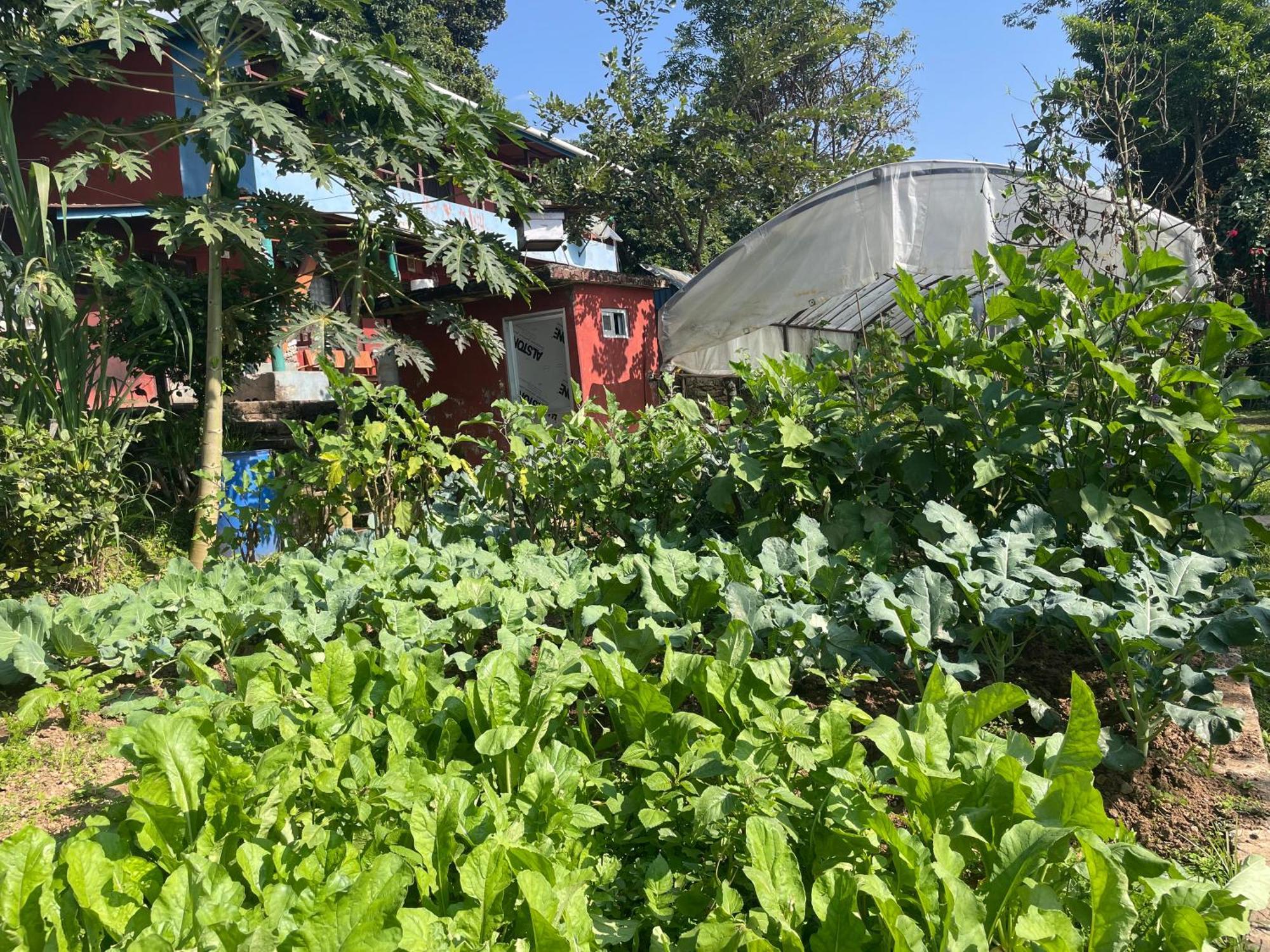 Himalaya Serene View Guest House & Farm Stay Deorāli Exteriér fotografie