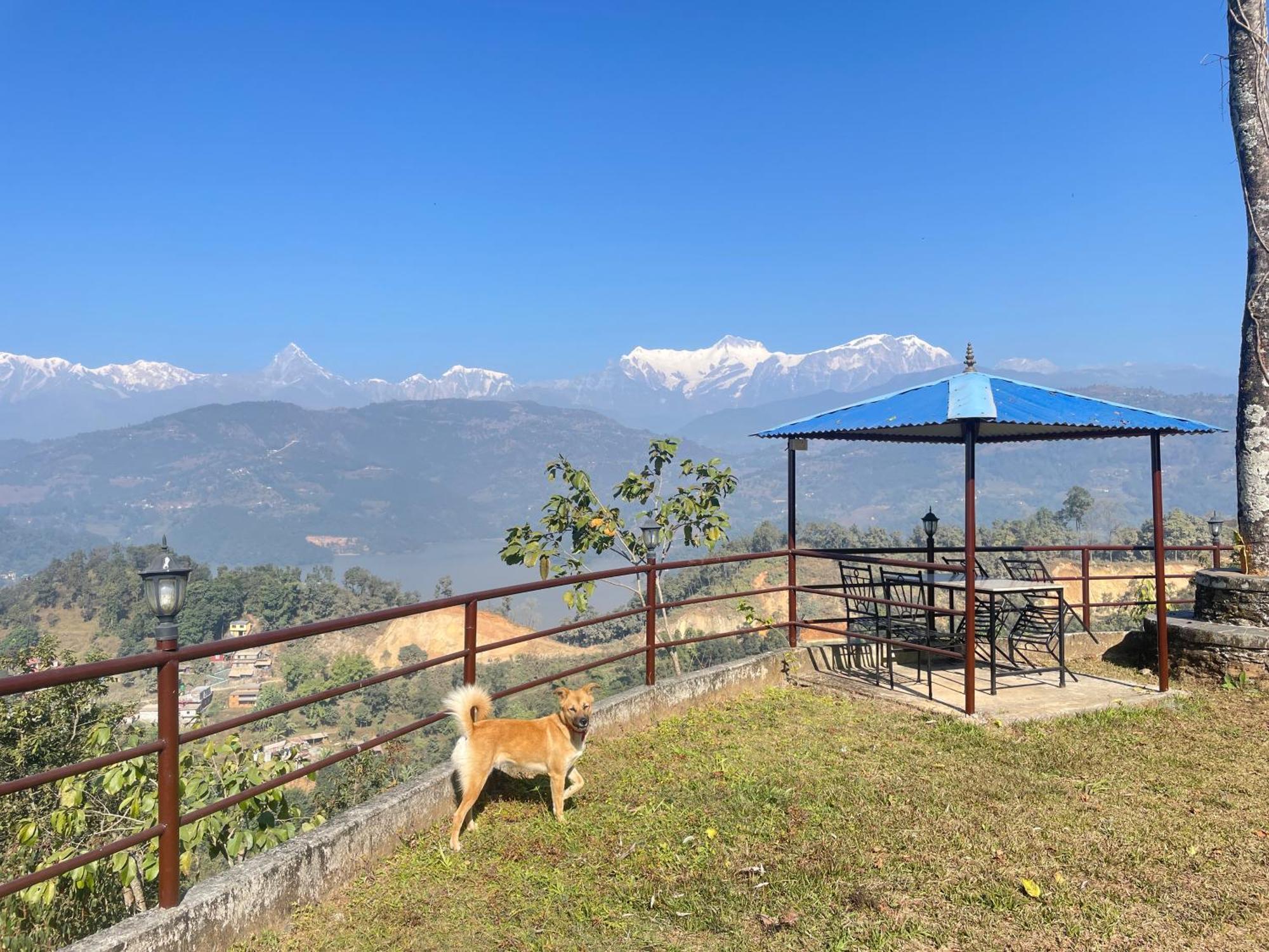 Himalaya Serene View Guest House & Farm Stay Deorāli Exteriér fotografie
