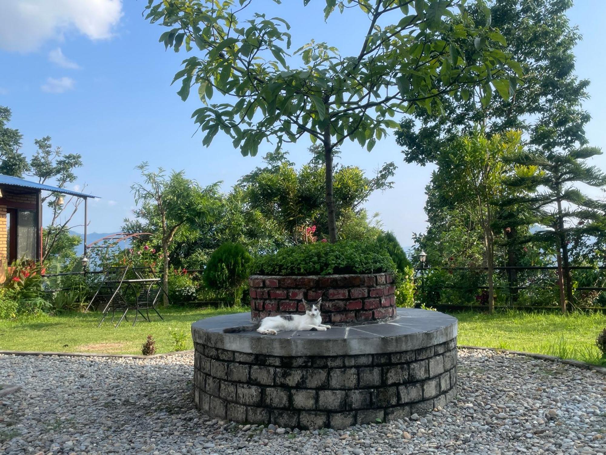 Himalaya Serene View Guest House & Farm Stay Deorāli Exteriér fotografie